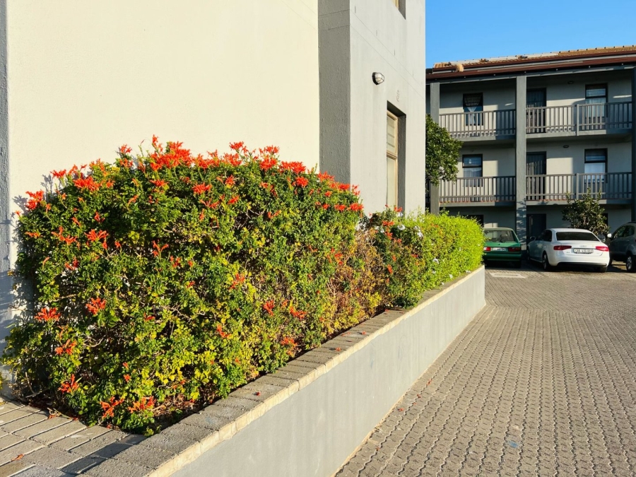 2 Bedroom Property for Sale in Parklands Western Cape